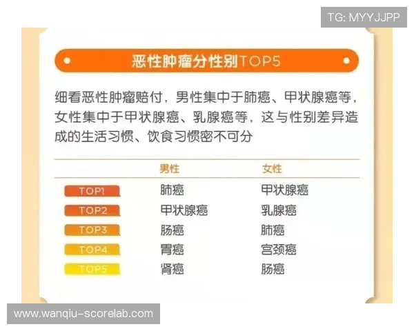 开云波胆怎么弄高赔率避坑防骗指南